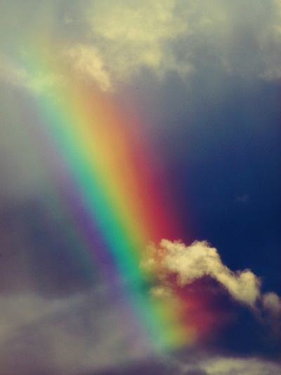 Photo:  rainbow 1